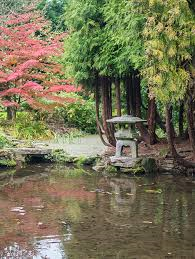 Japanese pond Newstead Abbey